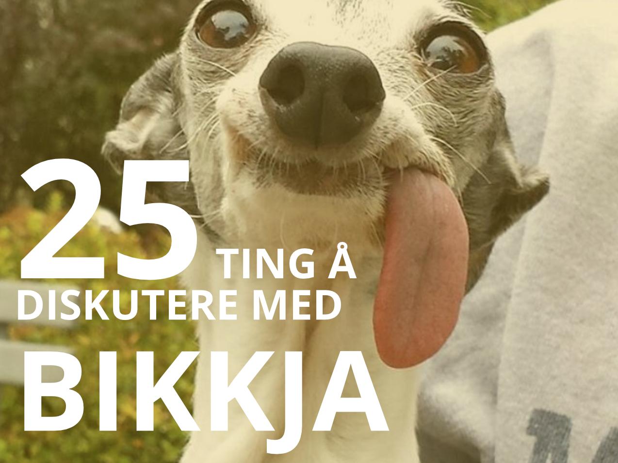 global.PRODUCT_IMAGE_MAIN 25 ting å diskutere med bikkja